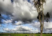 海星体育-Doinb新星回归赛场表现惊艳，独行侠未来可期！的简单介绍