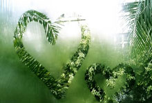 海星体育-Doinb新星回归赛场表现惊艳，独行侠未来可期！的简单介绍